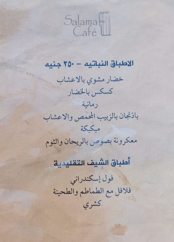 ألبابنشال 14