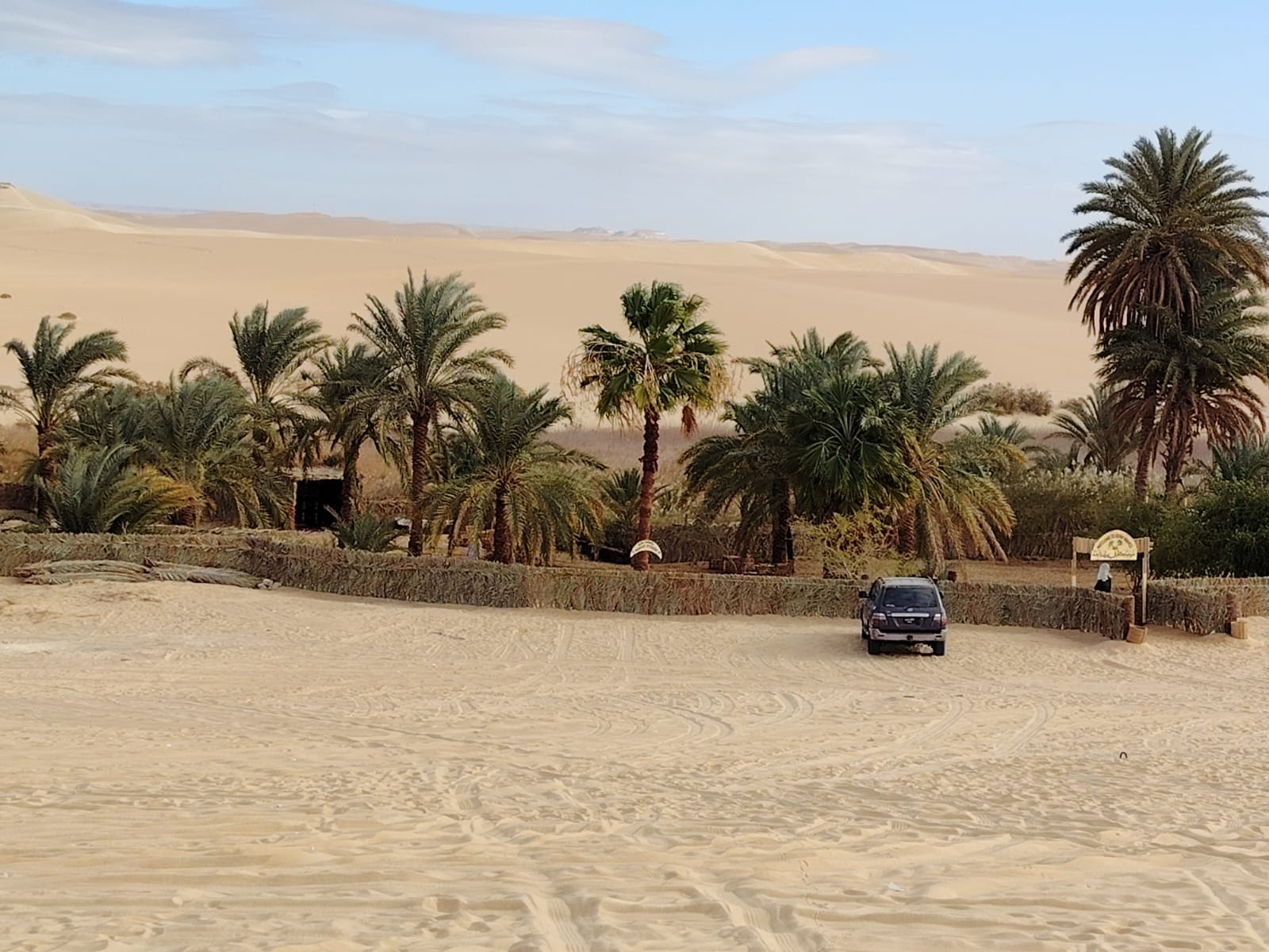 بير واحد 2