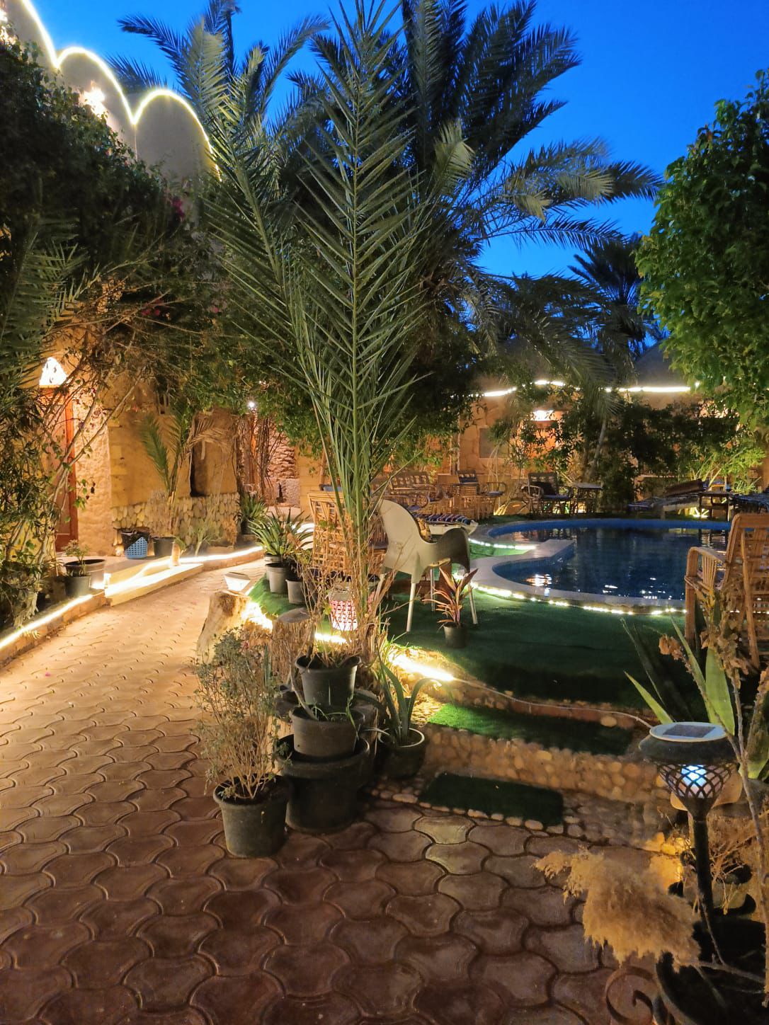 فندق دريم لودچ 15