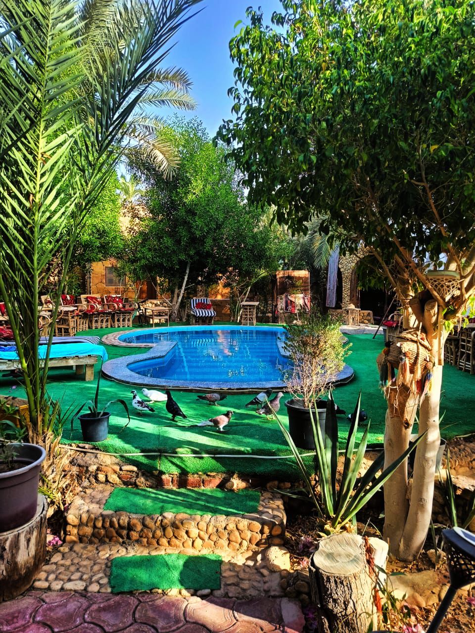 فندق دريم لودچ 6