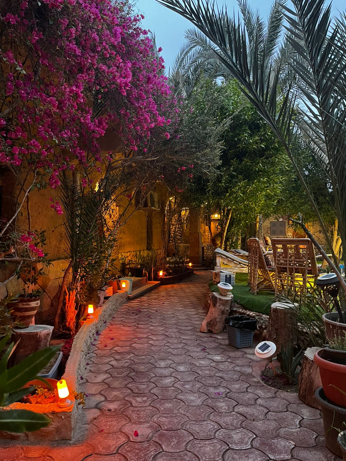 فندق دريم لودچ 2