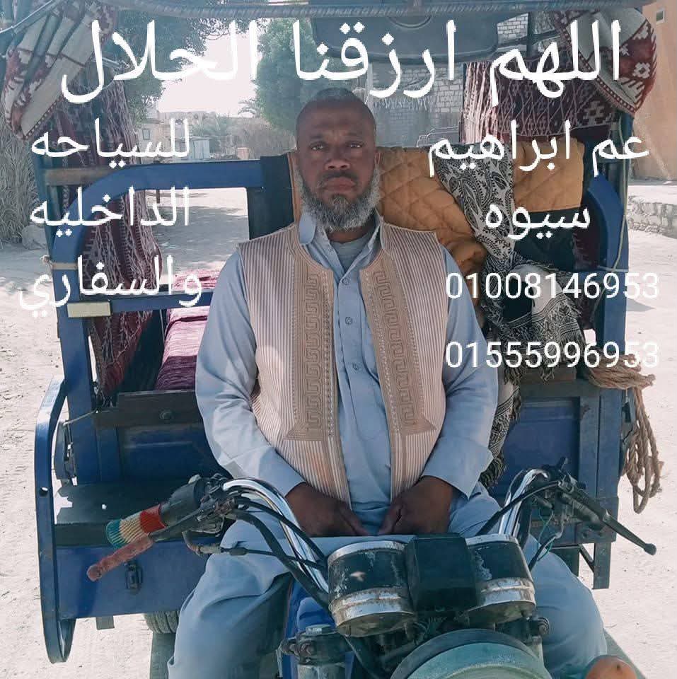 إبراهيم الشافعي