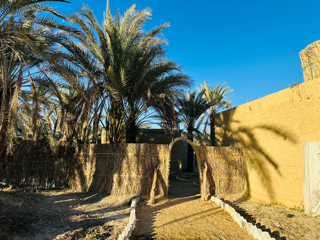 نيو كليوباترا 5