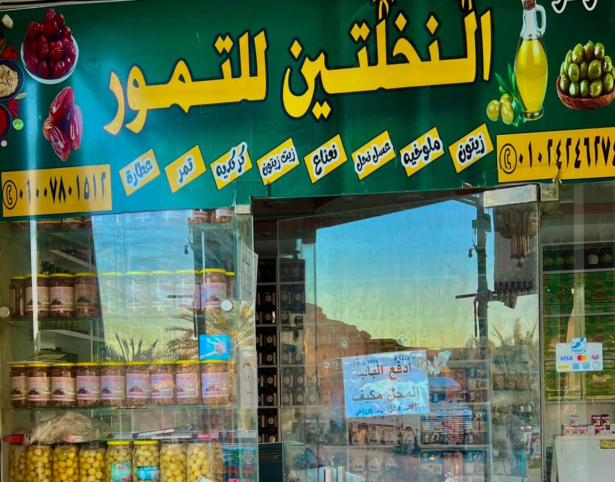 النخلتين للتمور 3