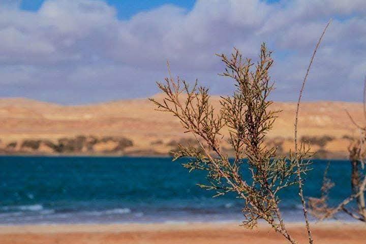 بحيرة شياطة 2