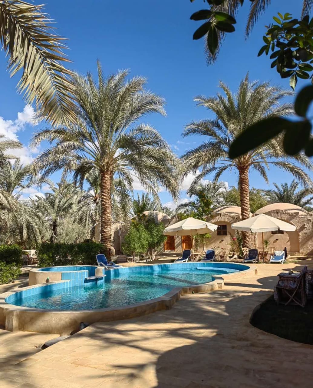Siwa Palace Lodge 5