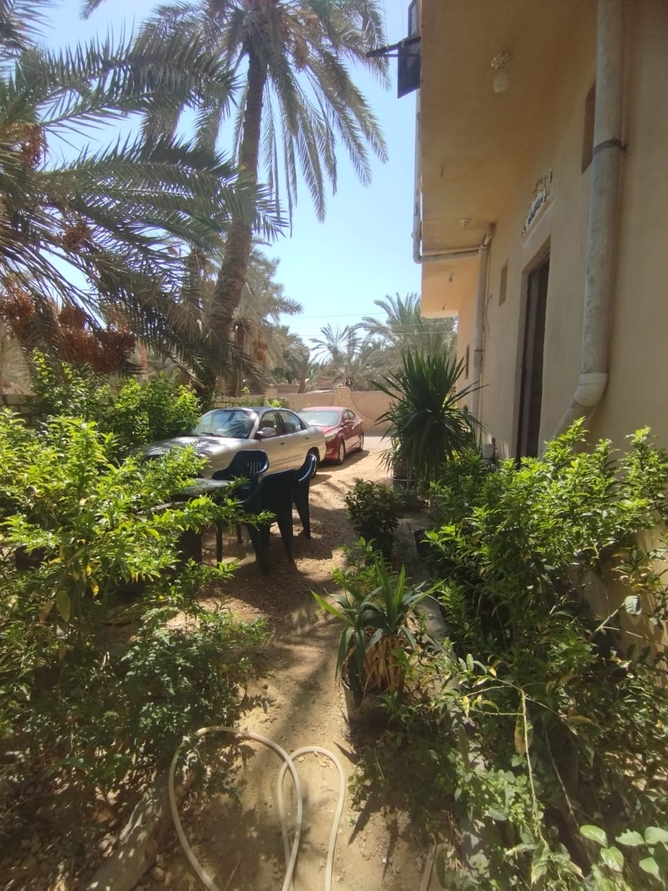 Siwa Star Hotel 7