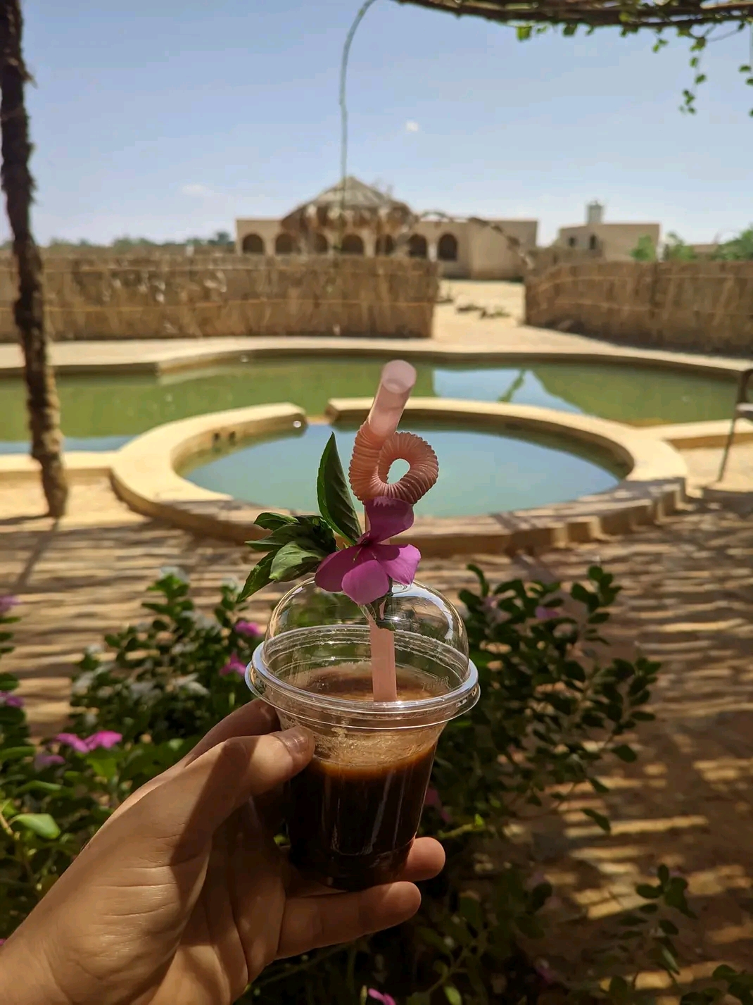 تميرة كامب 14