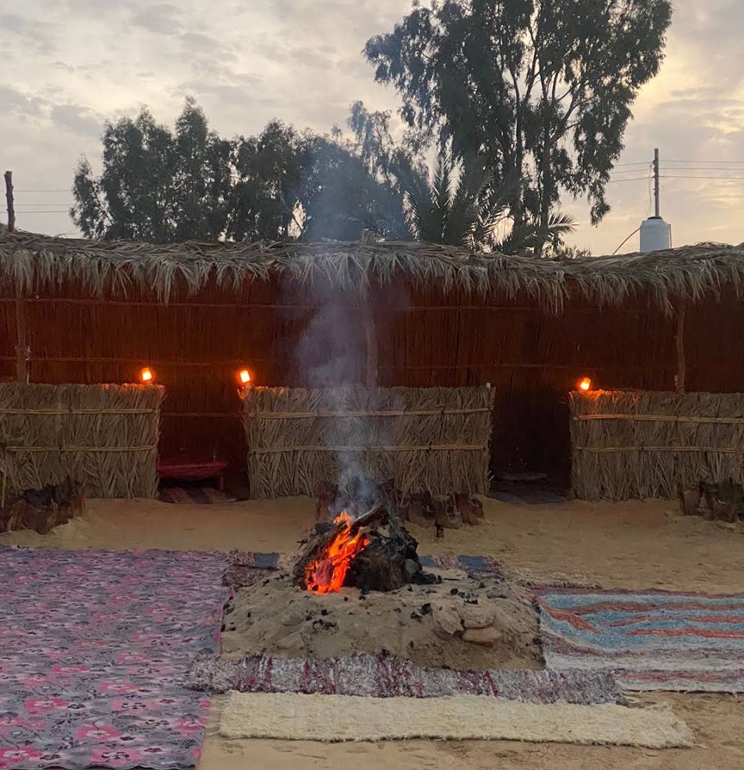 تميرة كامب 7