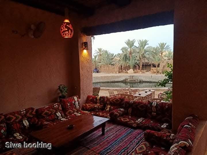 تط نجوبا 12