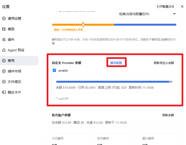 自定义 Provider 配置