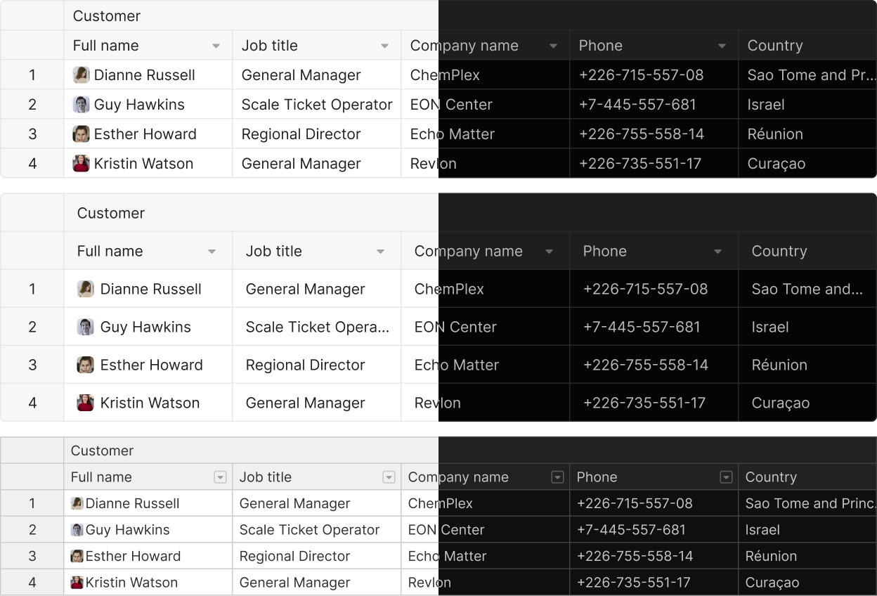 JavaScript data grid preview