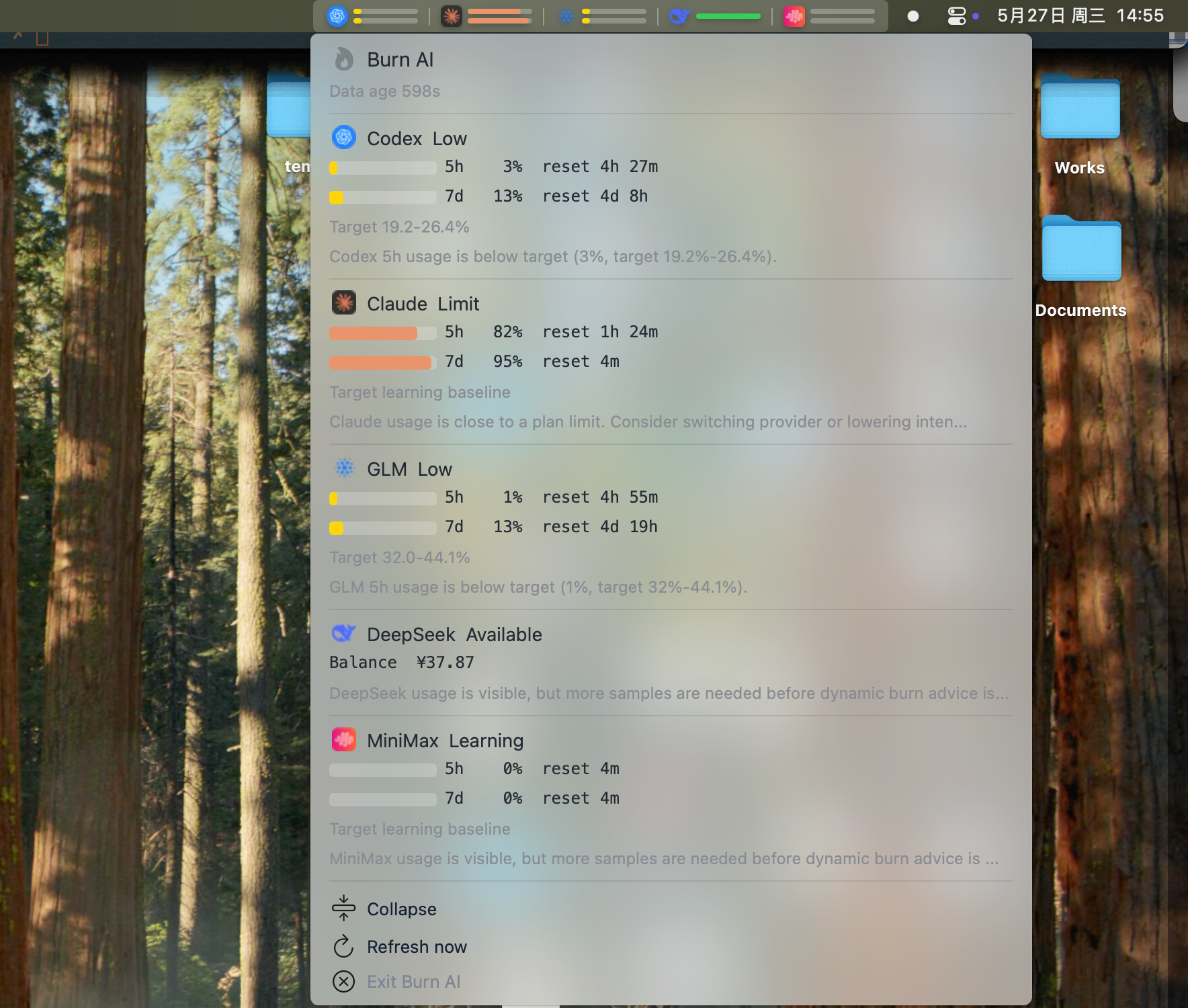 Burn AI menubar strip showing 5 provider icons with usage bars