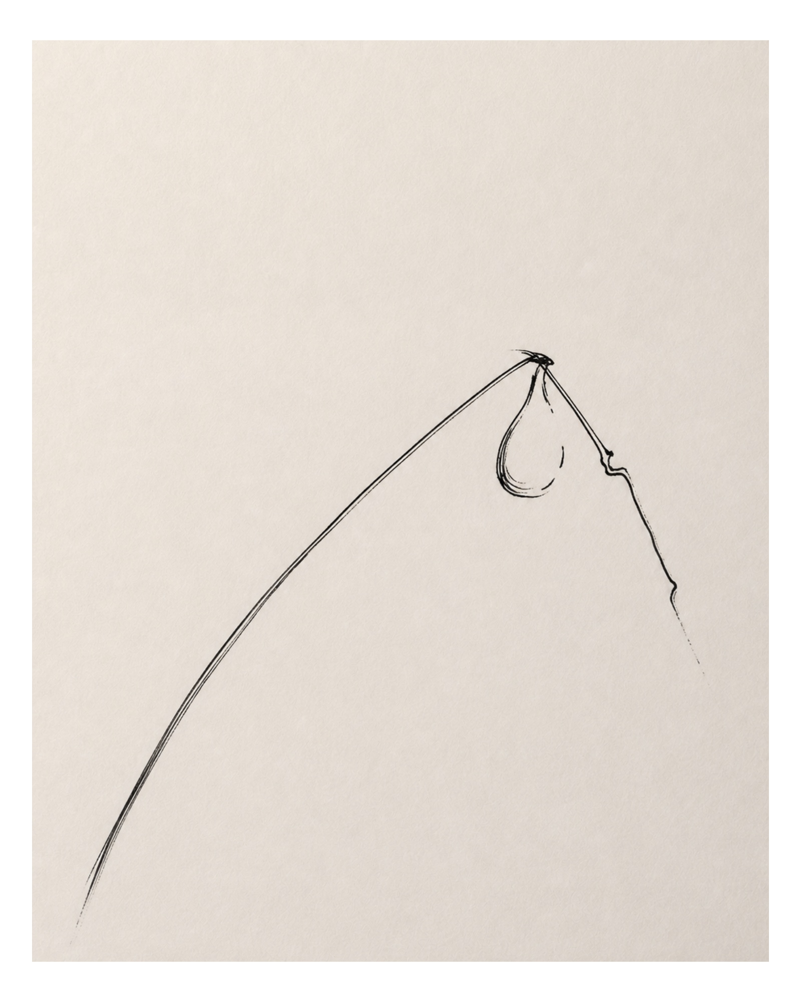 A suspended drop held by converging lines