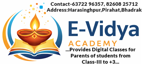 E-Vidya Academy