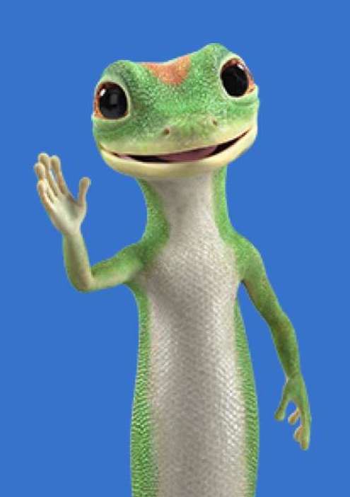 GEICO Insurance