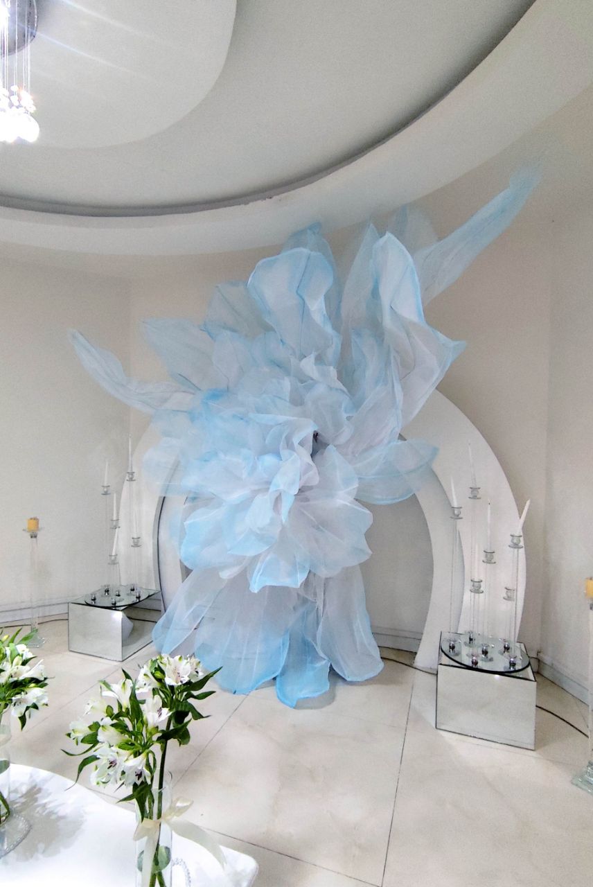 دیزاین تولد ۳