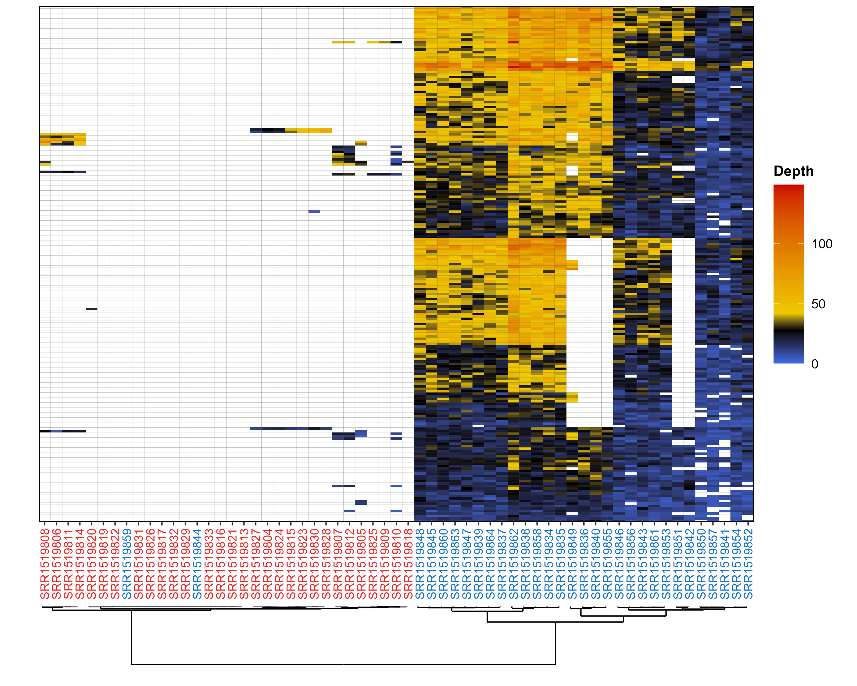 Depth clustering