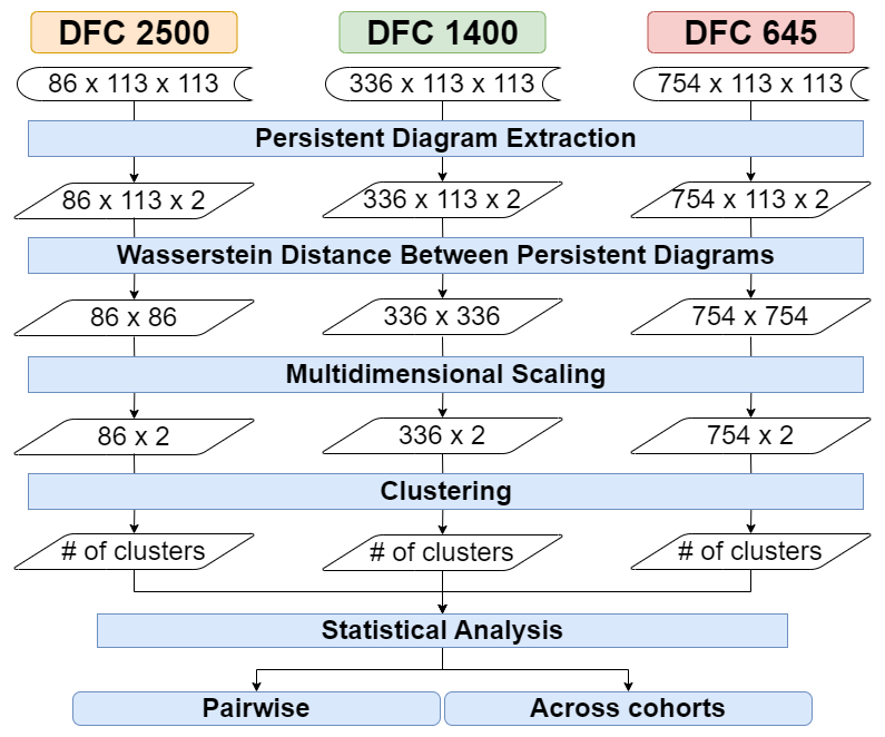 alt TDA pipeline