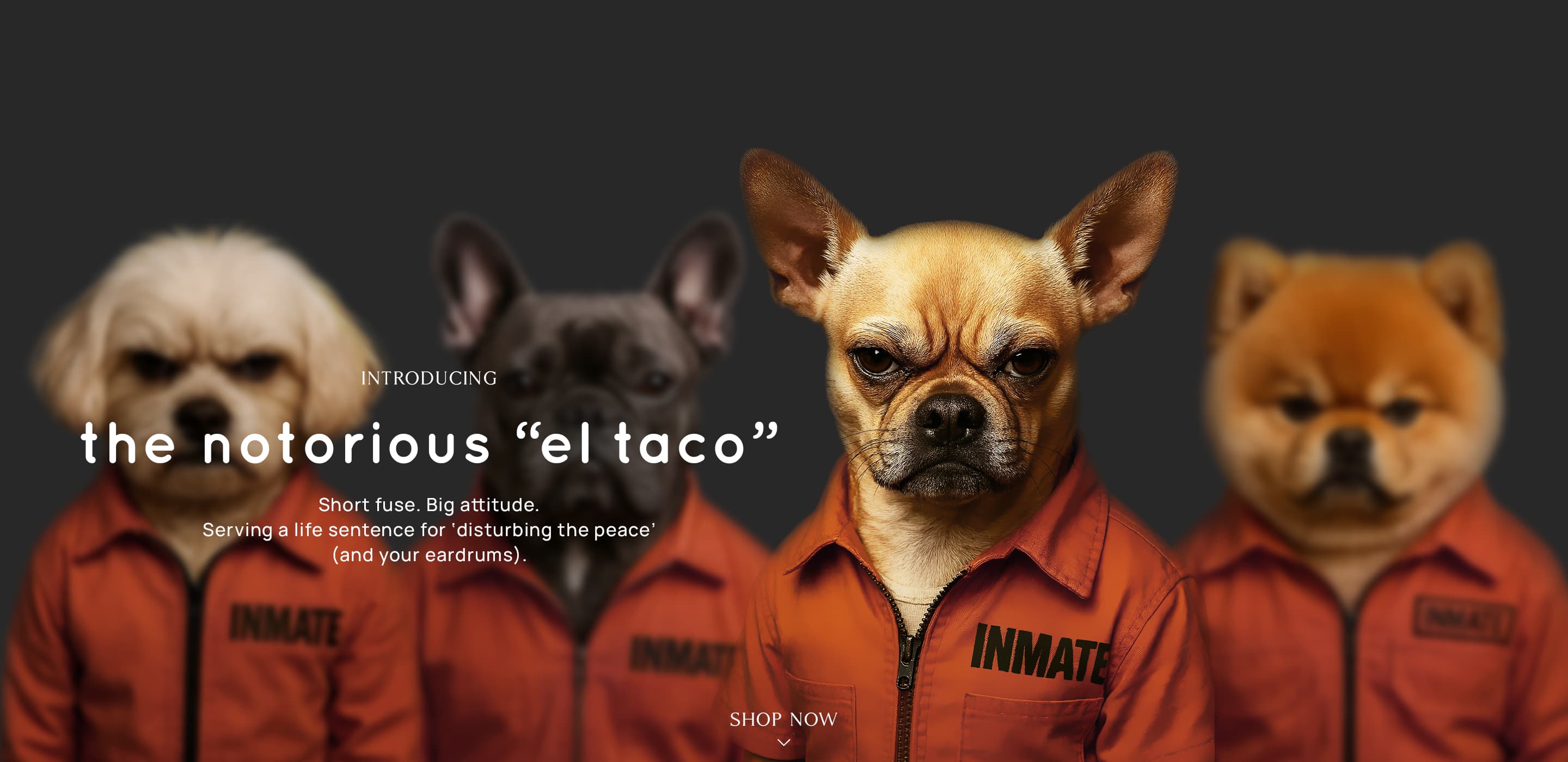 Store Promotion Banner