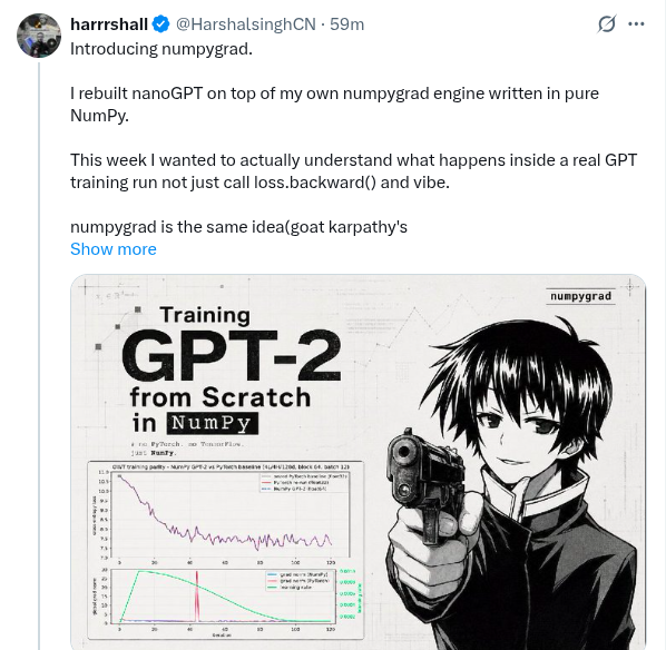 Introducing numpygrad