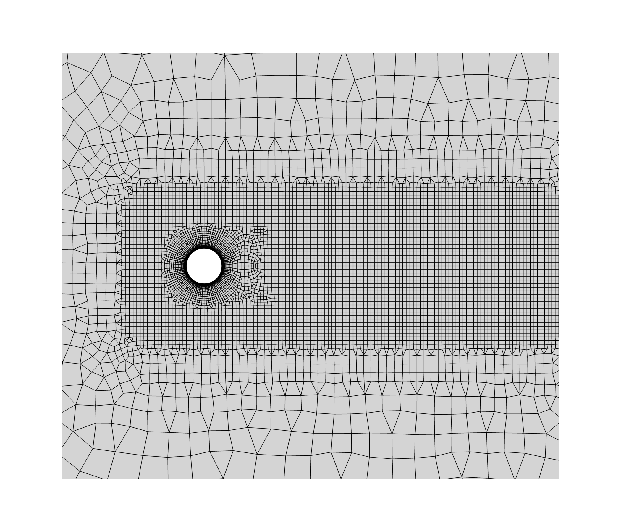 Cyl mesh