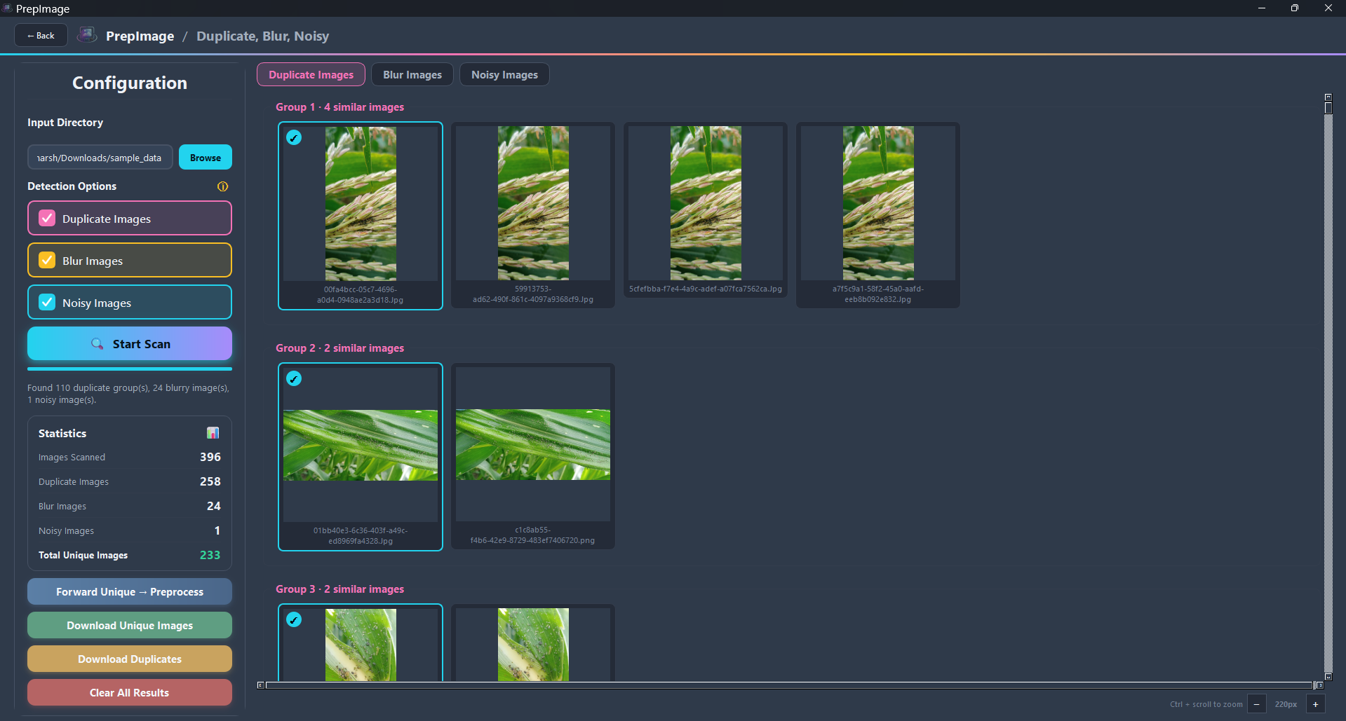 Image Curation screen
