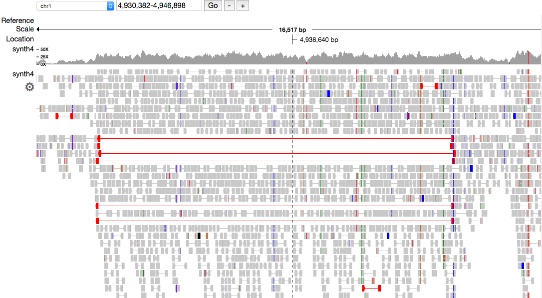 pileup.js showing a large deletion