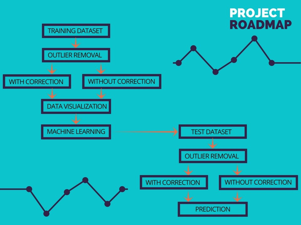 Project Roadmap