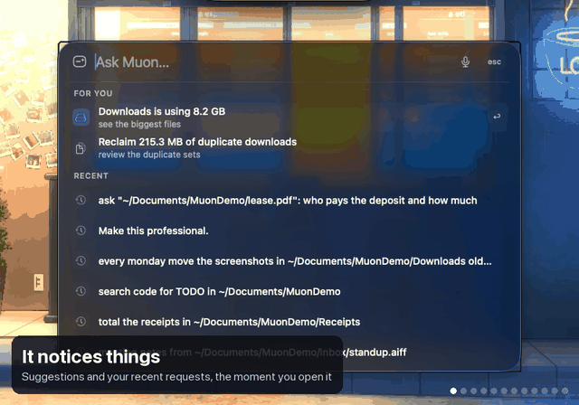 Muon demo
