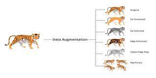 Data Aug