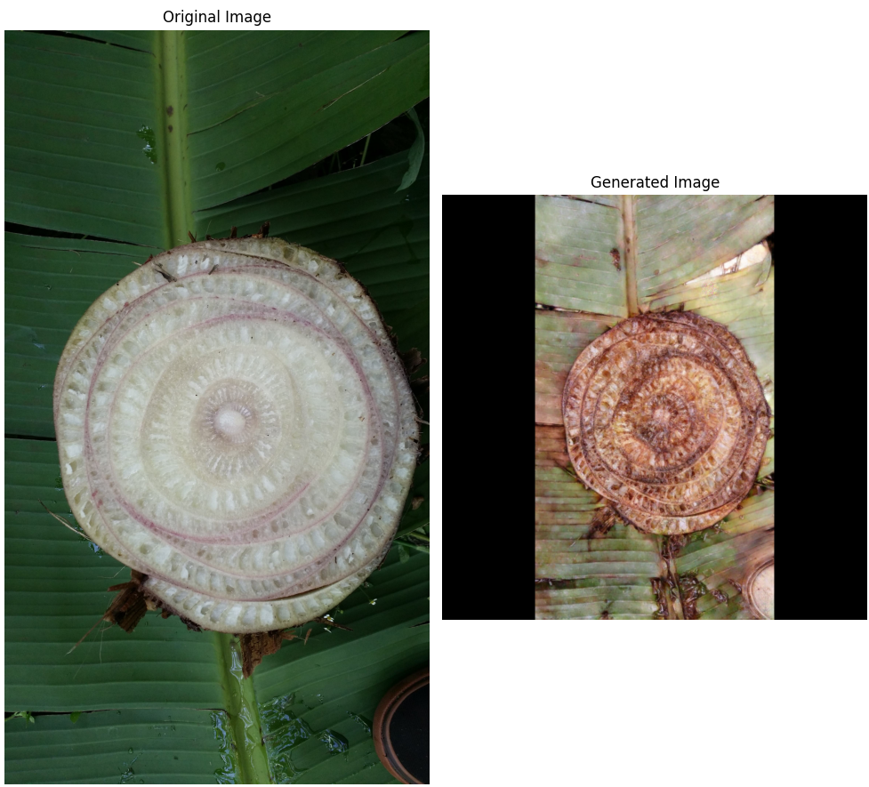 Pseudostem with Xanthomonas wilt