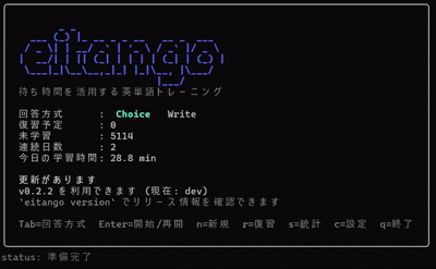 プレイしている様子