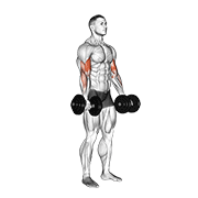 exercises-dataset — image 5
