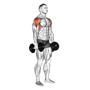 exercises-dataset — image 6
