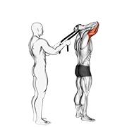 Assisted Standing Triceps Extension (With Towel) animated exercise demonstration