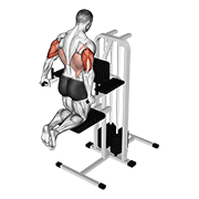 Assisted Triceps Dip (Kneeling) animated exercise demonstration