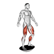 Balance Board animated exercise demonstration