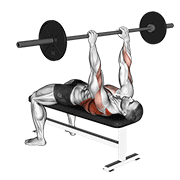 Barbell Pullover To Press animated exercise demonstration