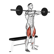 Barbell Bench Front Squat animated exercise demonstration