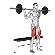 Barbell Bench Squat animated exercise demonstration