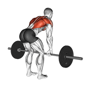 Bilateral barbell bent-over row demonstration showing stable hip hinge torso position and smooth bar path to abdomen