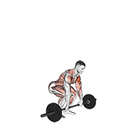 Barbell Clean And Press animated exercise demonstration