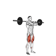 Barbell Clean-Grip Front Squat animated exercise demonstration
