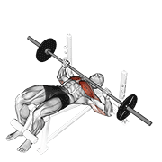 Barbell Decline Bench Press animated exercise demonstration
