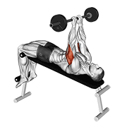 Barbell Decline Close Grip To Skull Press animated exercise demonstration