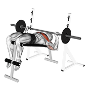 Barbell Decline Wide-Grip Press animated exercise demonstration