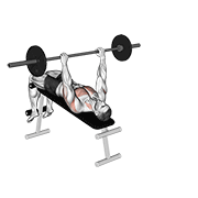 Barbell Decline Wide-Grip Pullover animated exercise demonstration