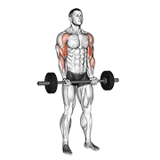Barbell Drag Curl animated exercise demonstration