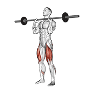 Barbell Front Chest Squat animated exercise demonstration
